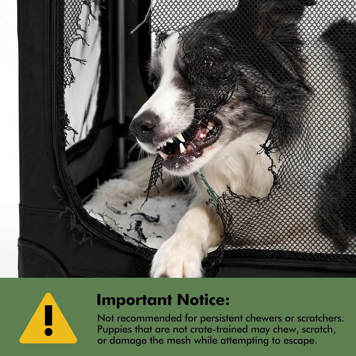 30 x 21 x 21 in 4-Door Collapsible Soft-Sided Mesh Dog Crate, Green