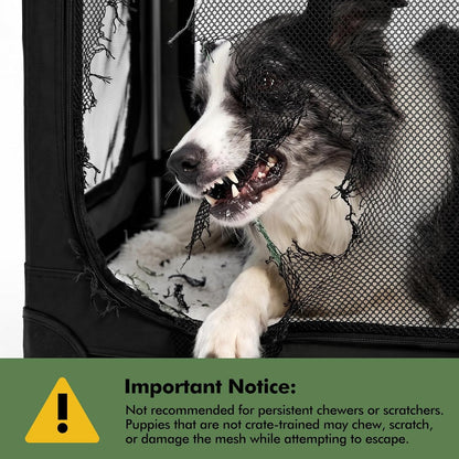 30 x 21 x 21 in 4-Door Collapsible Soft-Sided Mesh Dog Crate, Green