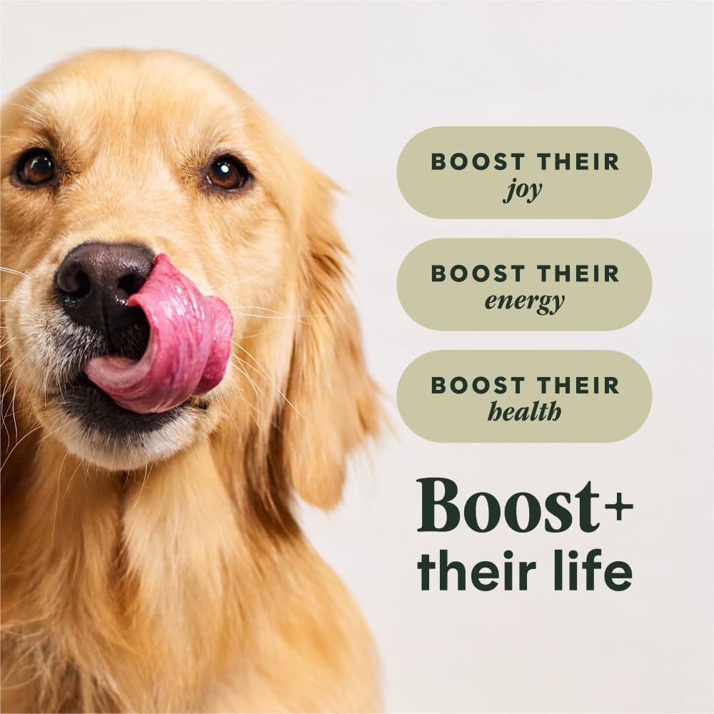 RawBoost Gut Health, Dry Dog Food + Freeze Dried, Chicken, 3.5 lb.