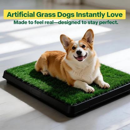 Dog Pee Pad Holder for Puppy, Puppy Pad Holder Tray, Pet Training Pee Pad, Indoor Potty Tray for Senior Dogs, Dog Toilet for Newborn Puppies, 23.5" x 23.5"