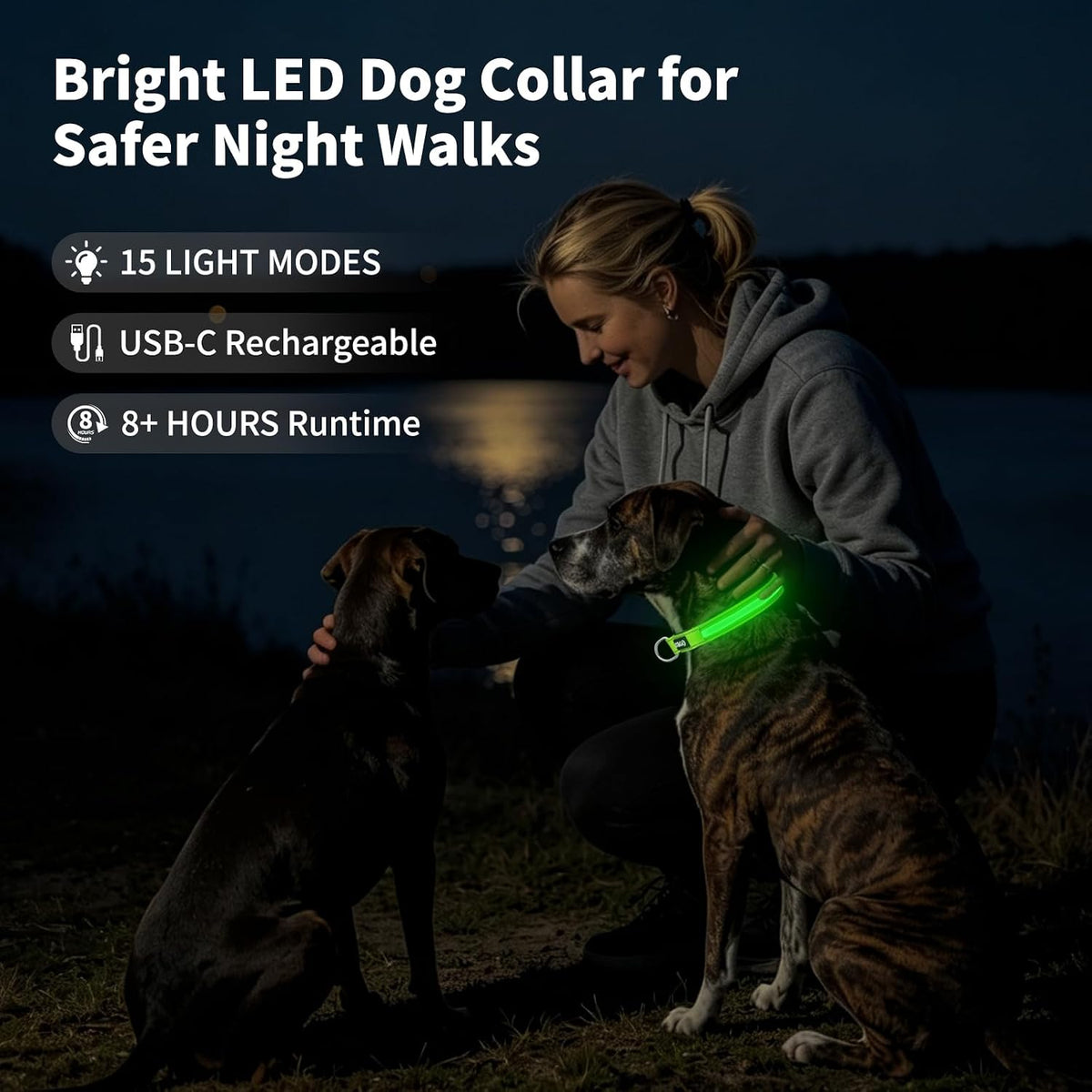 Light up Collars for Dogs at Night, 7-Color Glow, USB C Rechargeable