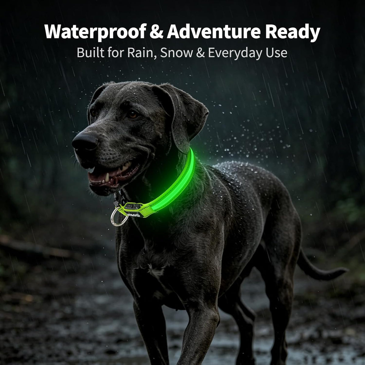 Light up Collars for Dogs at Night, 7-Color Glow, USB C Rechargeable