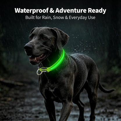 Light up Collars for Dogs at Night, 7-Color Glow, USB C Rechargeable