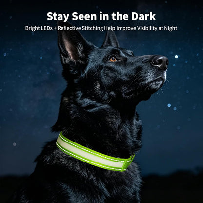 Light up Collars for Dogs at Night, 7-Color Glow, USB C Rechargeable
