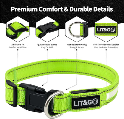 Light up Collars for Dogs at Night, 7-Color Glow, USB C Rechargeable
