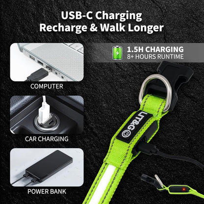 Light up Collars for Dogs at Night, 7-Color Glow, USB C Rechargeable