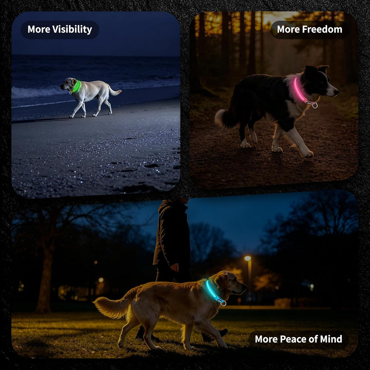 Light up Collars for Dogs at Night, 7-Color Glow, USB C Rechargeable