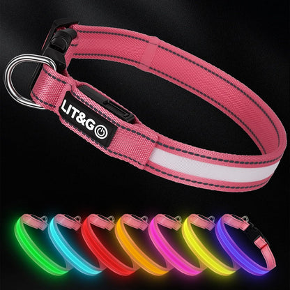 Light up Collars for Dogs at Night, 7-Color Glow, USB C Rechargeable
