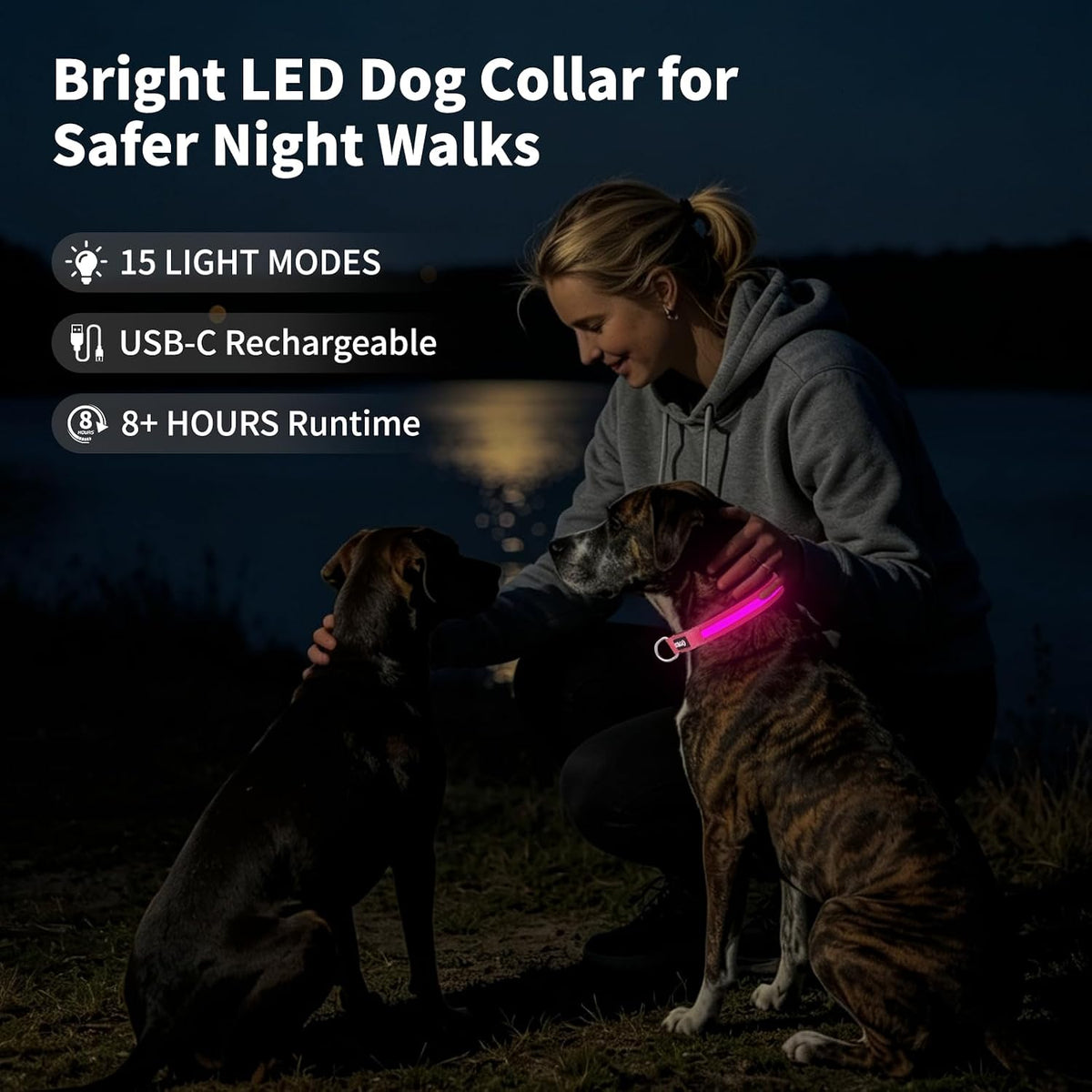 Light up Collars for Dogs at Night, 7-Color Glow, USB C Rechargeable
