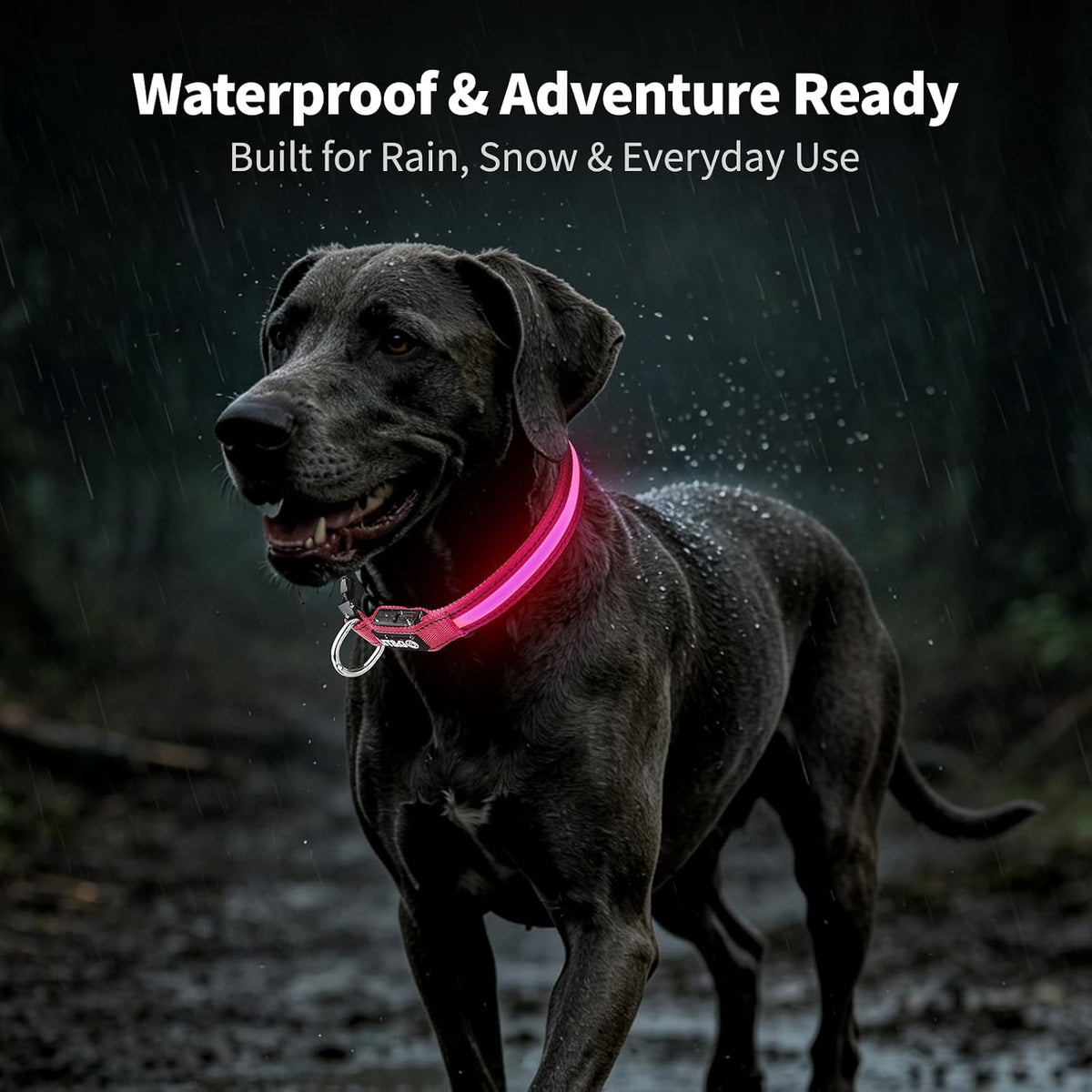 Light up Collars for Dogs at Night, 7-Color Glow, USB C Rechargeable