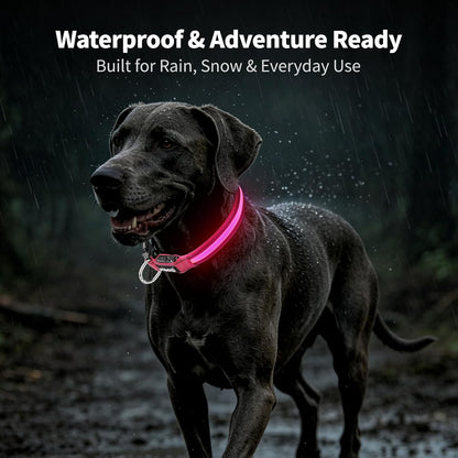 Light up Collars for Dogs at Night, 7-Color Glow, USB C Rechargeable