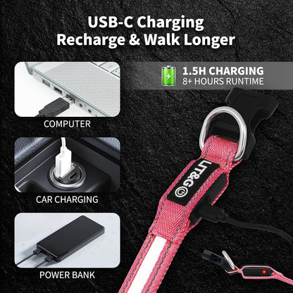 Light up Collars for Dogs at Night, 7-Color Glow, USB C Rechargeable