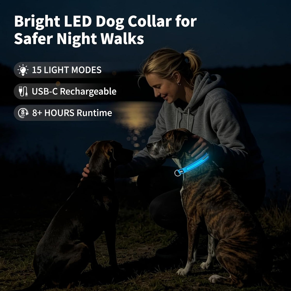 Light up Collars for Dogs at Night, 7-Color Glow, USB C Rechargeable