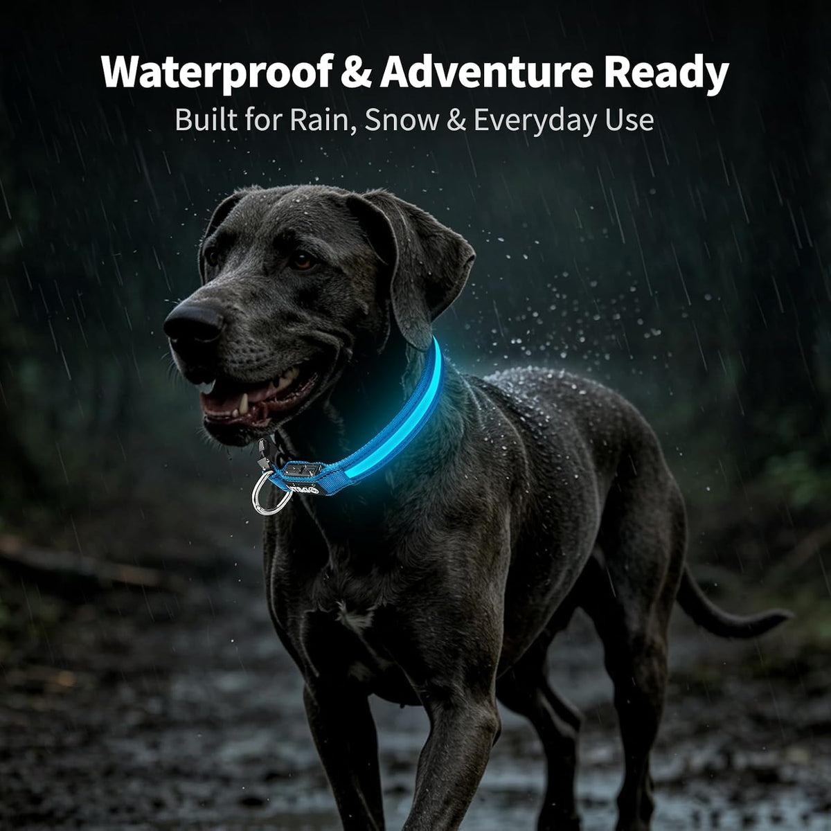 Light up Collars for Dogs at Night, 7-Color Glow, USB C Rechargeable