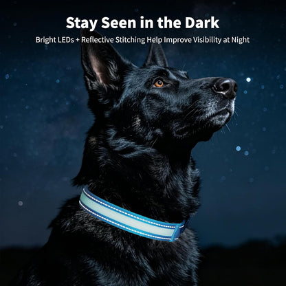 Light up Collars for Dogs at Night, 7-Color Glow, USB C Rechargeable