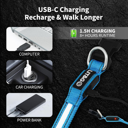 Light up Collars for Dogs at Night, 7-Color Glow, USB C Rechargeable
