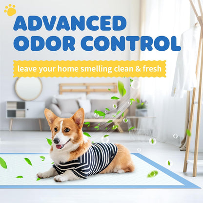 Puppy Pads for Dogs, 34 x 28 in, 6-Layer, Leak-Proof