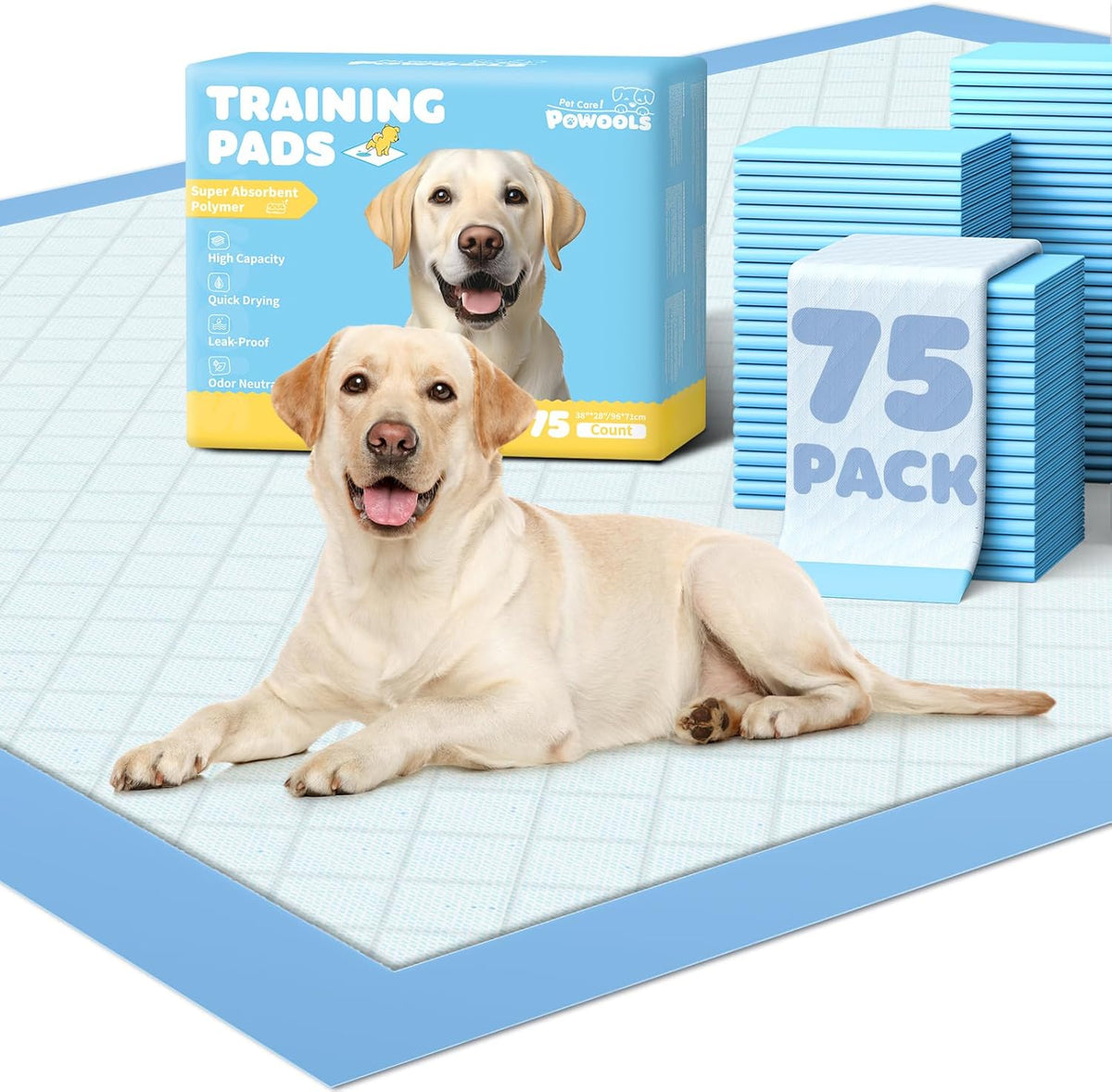 Puppy Pads for Dogs, 34 x 28 in, 6-Layer, Leak-Proof