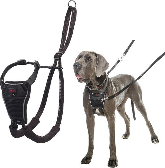 No Pull Dog Harness | Size L, Black