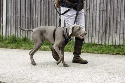 No Pull Dog Harness | Size L, Black