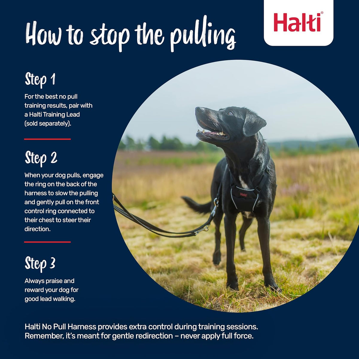 No Pull Dog Harness | Size L, Black