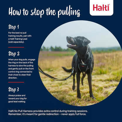 No Pull Dog Harness | Size L, Black