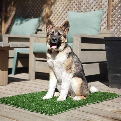 Dog Toilet Indoor Puppy Training Pad, Dog Potty Pet Training Grass Mat, Removable Waste Tray for Easier Clean Up, Artificial Turf, 25"×20"