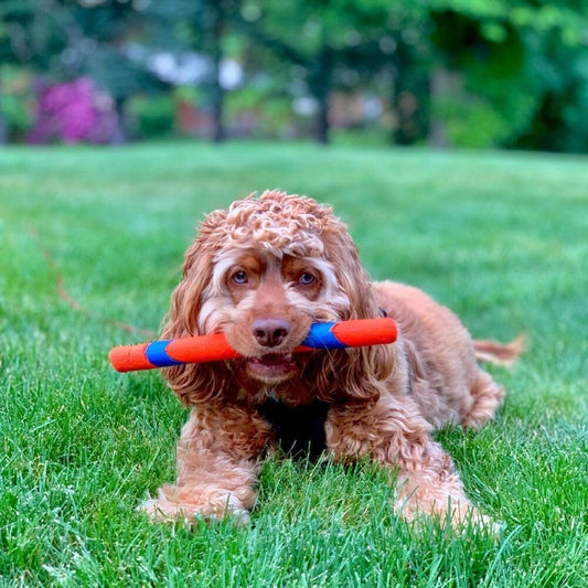 ! Ultra Fetch Stick Interactive Dog Toy, 12in, All Breeds | Crafted from the Same Durable Rubber as the Ultra Ball, This Fetch Stick Offers Bright Visibility for Outdoor Fetch Games