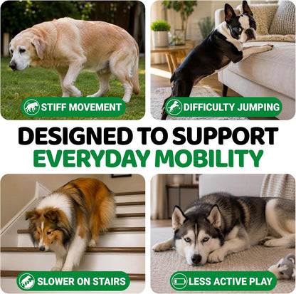 Glucosamine for Dogs - 240 Chews - Hip & Joint Supplement for Dogs