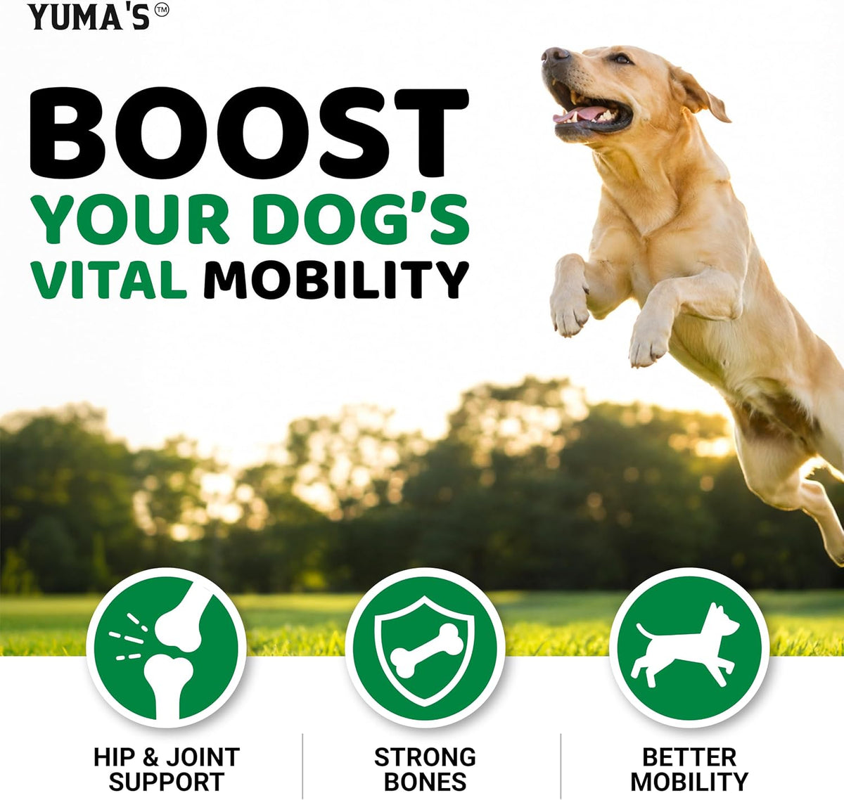 Glucosamine for Dogs - 240 Chews - Hip & Joint Supplement for Dogs