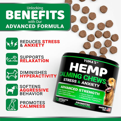Glucosamine for Dogs - 240 Chews - Hip & Joint Supplement for Dogs