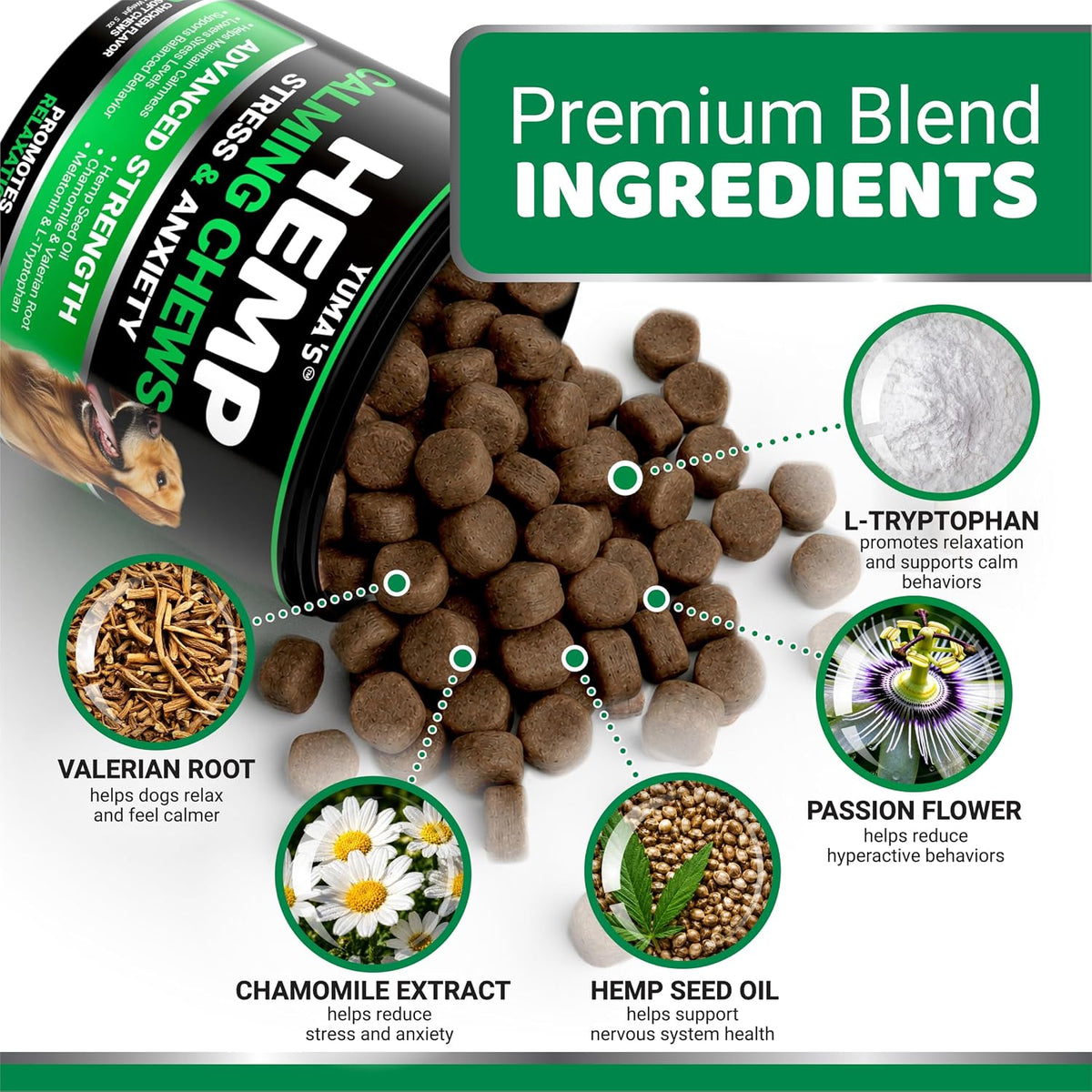 Glucosamine for Dogs - 240 Chews - Hip & Joint Supplement for Dogs