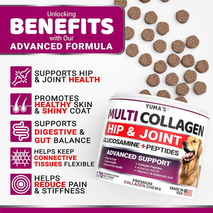 Glucosamine for Dogs - 240 Chews - Hip & Joint Supplement for Dogs