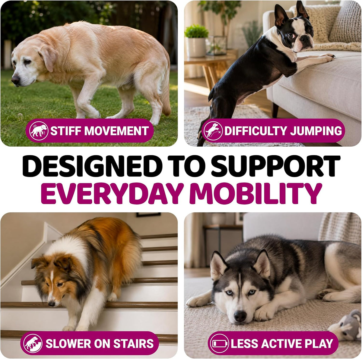 Glucosamine for Dogs - 240 Chews - Hip & Joint Supplement for Dogs