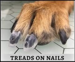 TAKTIKAL Dr. McHenry's Dog Toe Treads, Set of 24, Adhesive, Cleaning Brush, Increased Traction, Dog Mobility Support, X-Large Kit- Weight: 60-150 lbs. Net Weight 1.6 oz.
