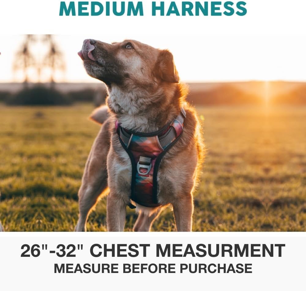 Embark No Pull Dog Harness, Reflective Adjustable Training Vest, No Choke
