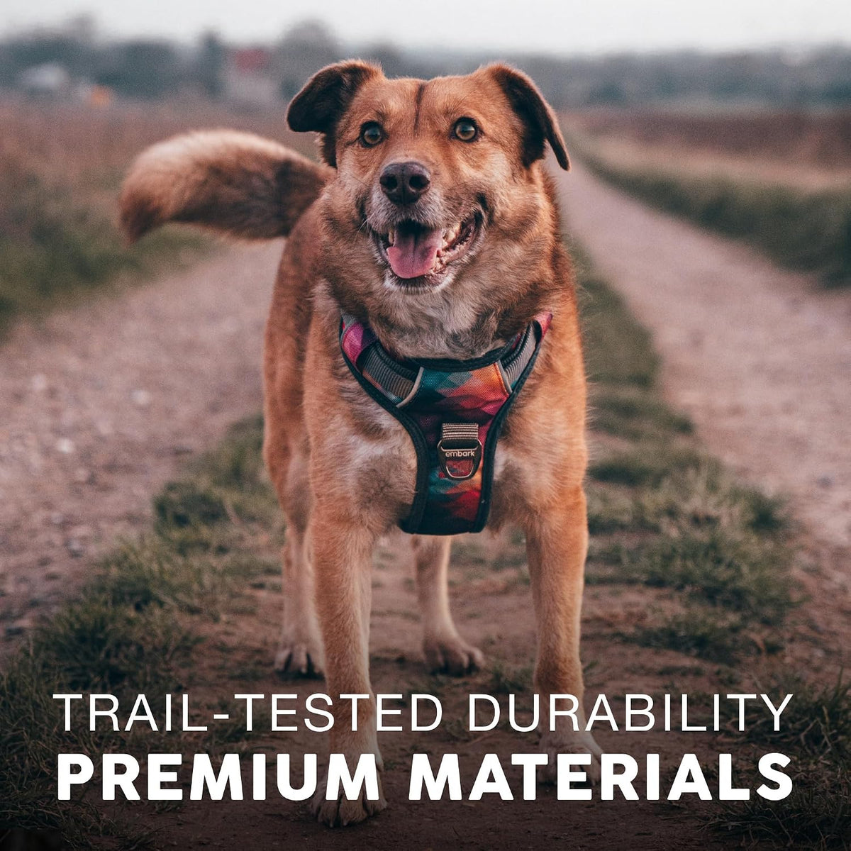 Embark No Pull Dog Harness, Reflective Adjustable Training Vest, No Choke