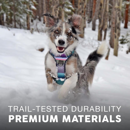 Embark No Pull Dog Harness, Reflective Adjustable Training Vest, No Choke