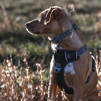 Embark No Pull Dog Harness, Reflective Adjustable Training Vest, No Choke
