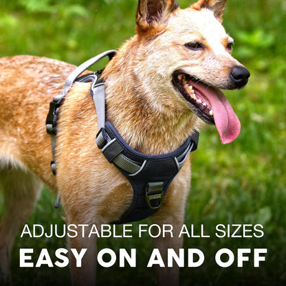 Embark No Pull Dog Harness, Reflective Adjustable Training Vest, No Choke
