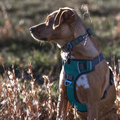 Embark No Pull Dog Harness, Reflective Adjustable Training Vest, No Choke