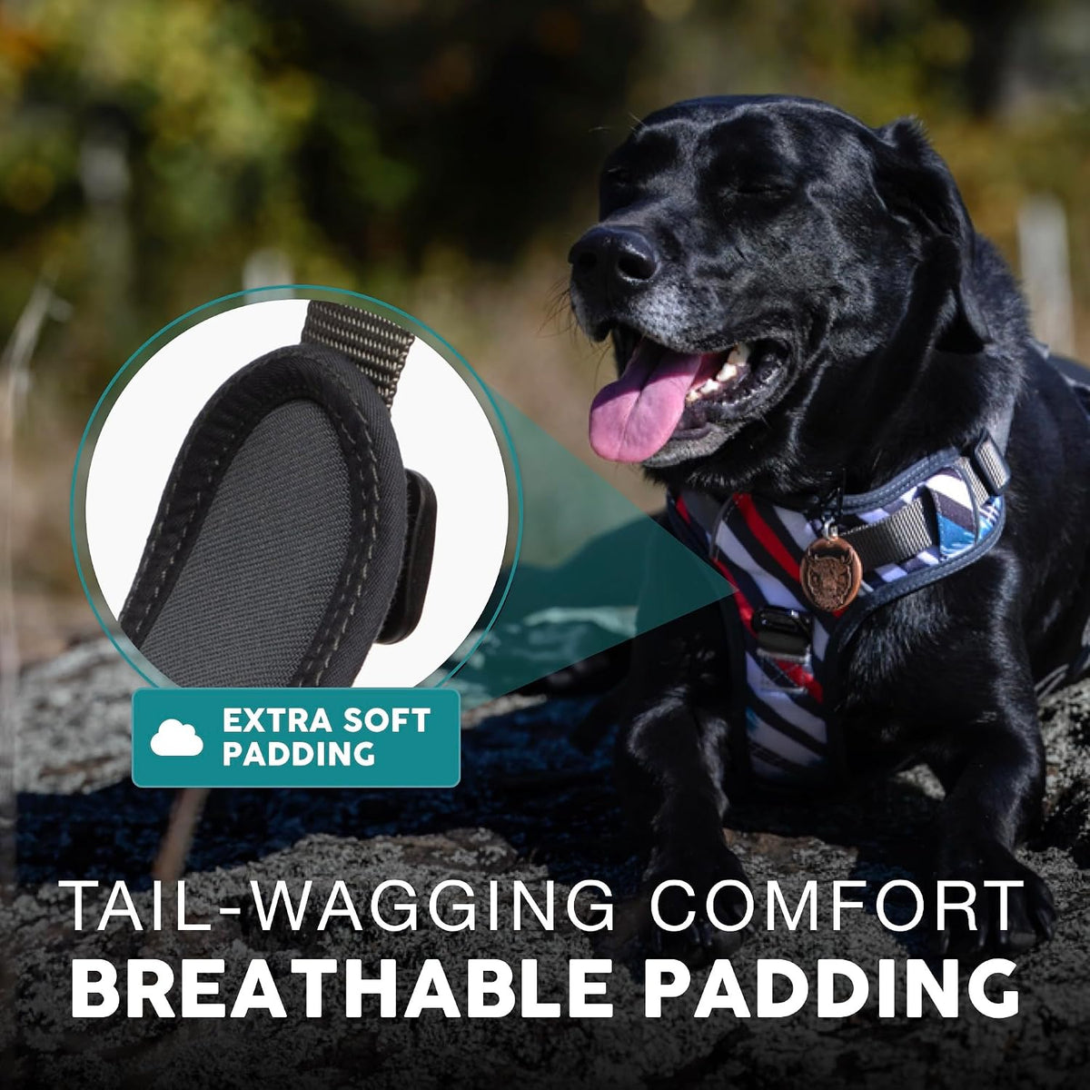 Embark No Pull Dog Harness, Reflective Adjustable Training Vest, No Choke