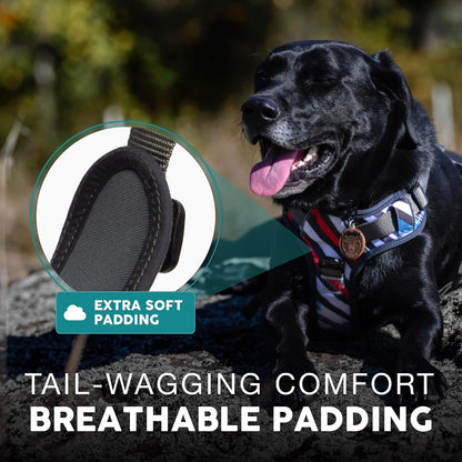 Embark No Pull Dog Harness, Reflective Adjustable Training Vest, No Choke