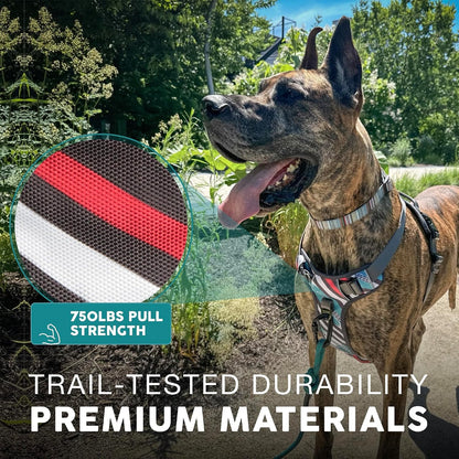 Embark No Pull Dog Harness, Reflective Adjustable Training Vest, No Choke