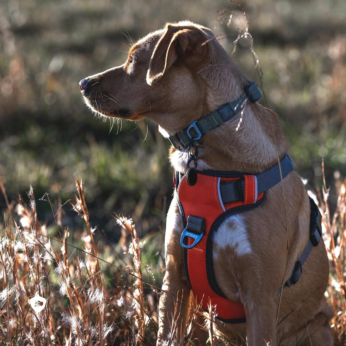 Embark No Pull Dog Harness, Reflective Adjustable Training Vest, No Choke