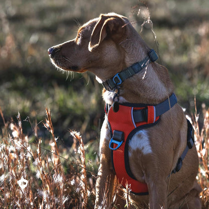Embark No Pull Dog Harness, Reflective Adjustable Training Vest, No Choke