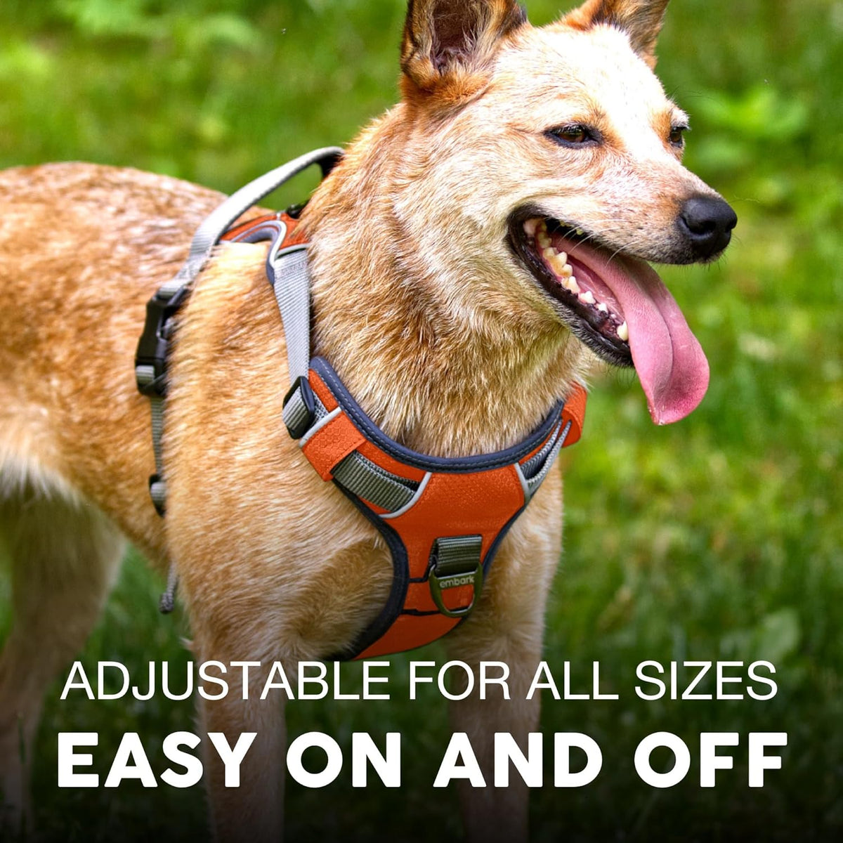 Embark No Pull Dog Harness, Reflective Adjustable Training Vest, No Choke