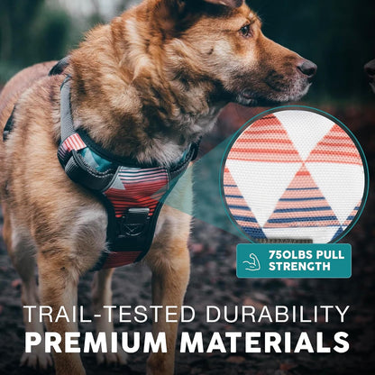 Embark No Pull Dog Harness, Reflective Adjustable Training Vest, No Choke