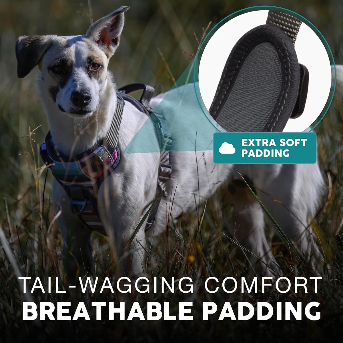 Embark No Pull Dog Harness, Reflective Adjustable Training Vest, No Choke