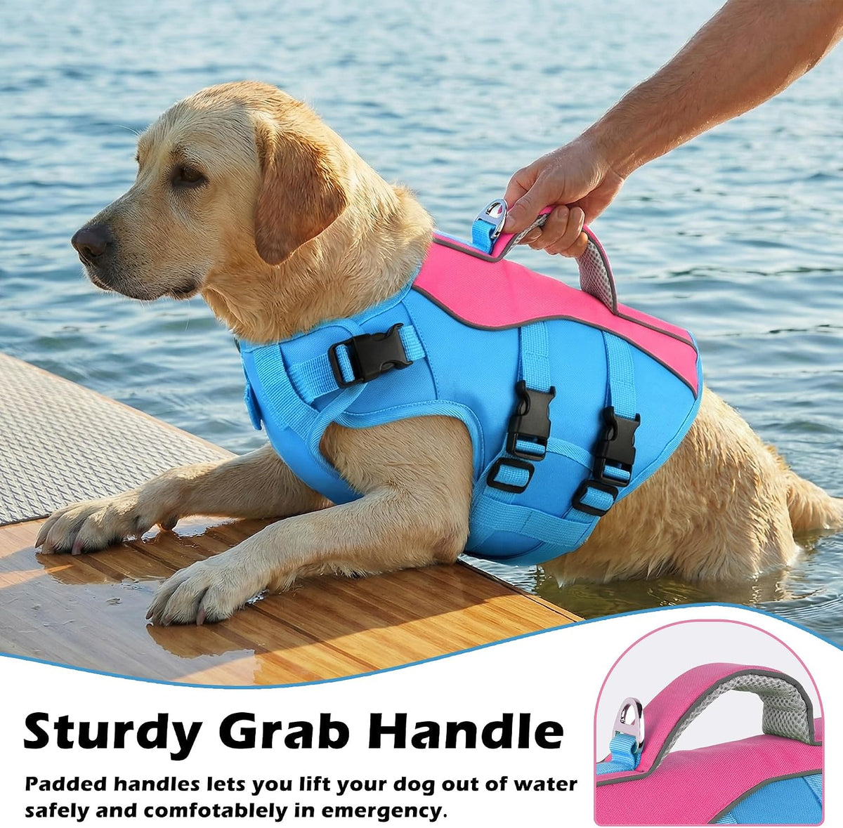 Dog Life Jacket with Handle Adjustable Swim Vest, Pine Green, L